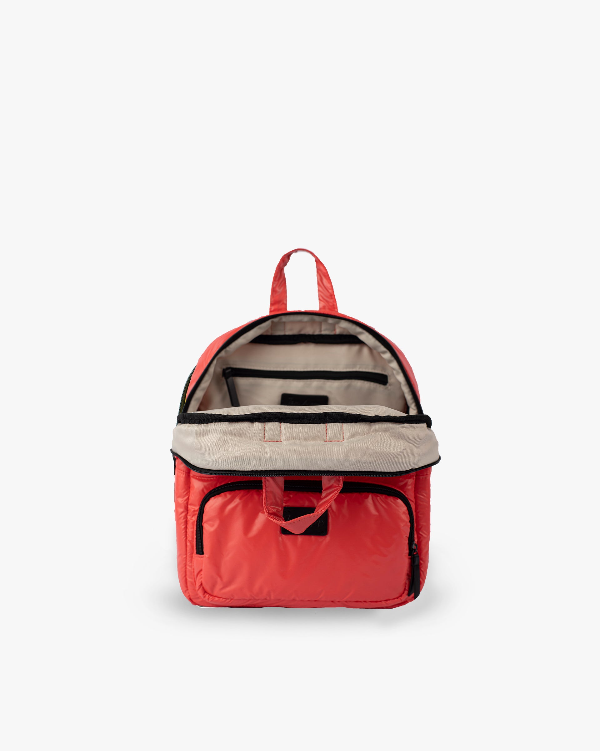Coral//